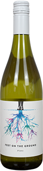 Feet on the Ground Fiano 2024